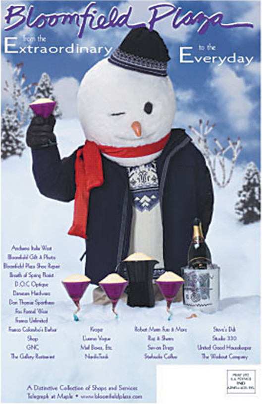 Bloomfield Plaza cover art